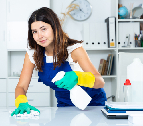 How To Keep Your Home Clean When Busy