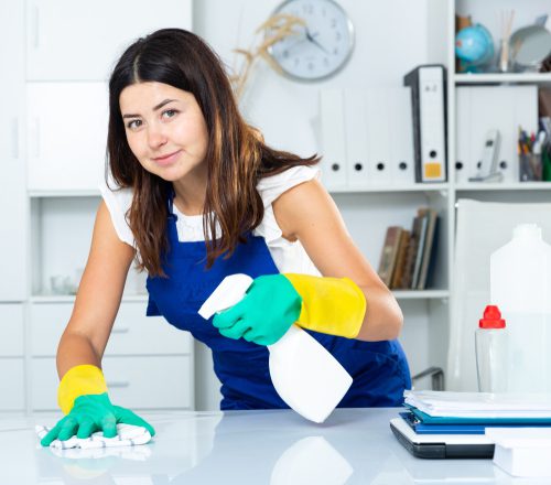 How To Keep Your Home Clean When Busy – My Marvelous Maids